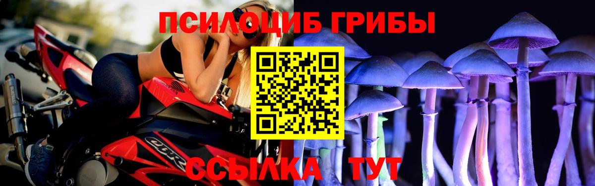 Тайшет  Псилоцибиновые грибы Magic Shrooms  Вход с VPN  Галлюциногенные грибы MAGIC MUSHROOMS 